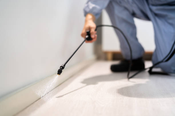 Licensed Pest Control service in Channahon, IL - Show Me Pest Control