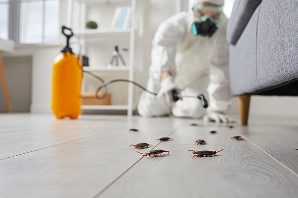 Post-Treatment Bed Bug Interceptor Monitoring in Channahon