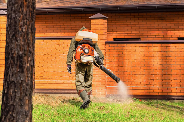 Bed Bug Clearance Verification and Documentation in Channahon